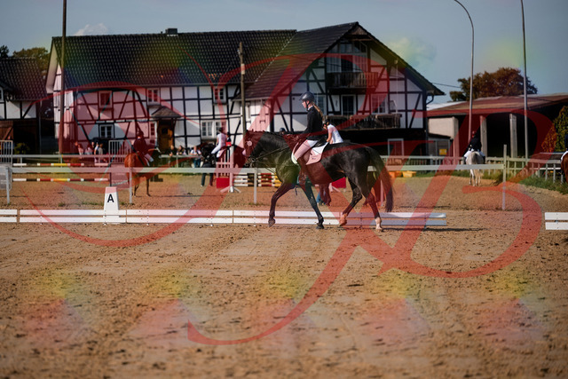 2026_10_03_Siefer-Hof_115511_Z63_30595315 | Professionelle Reitsport-, Turnier- und Eventfotografie von Robert Broda. Galerien mit ausgewählten und bearbeiteten Bildern direkt online ansehen und bestellen.
