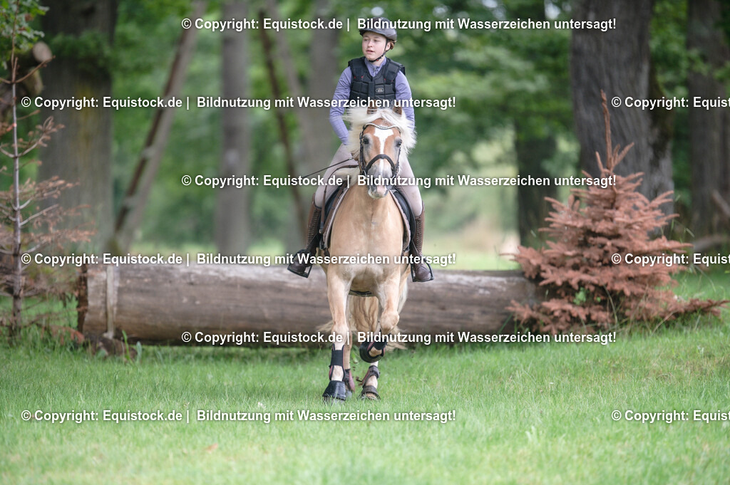 20250726_Vielseitigkeitslehrgang-Marbach_0244 | Foto: Thomas Hartig