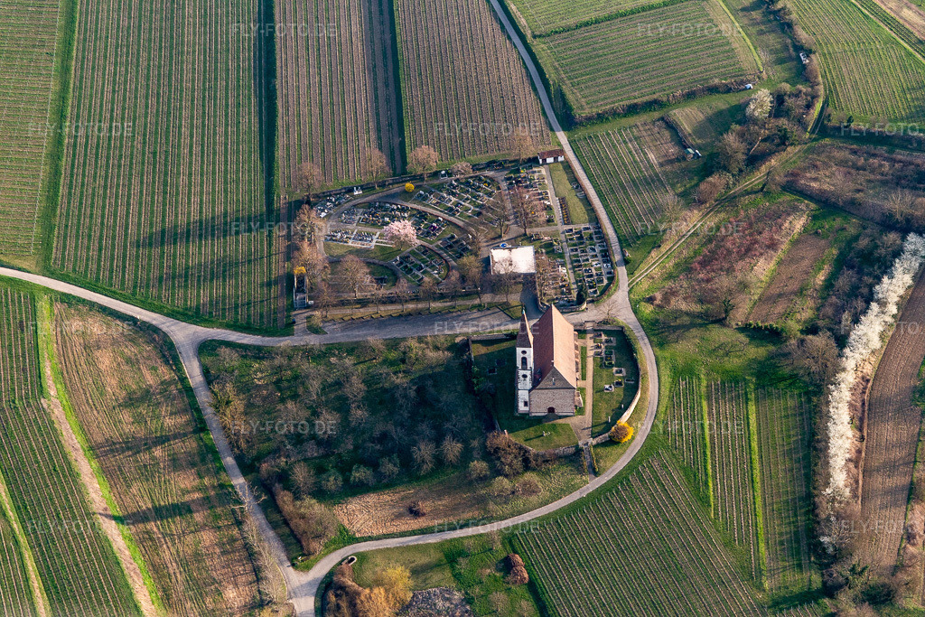 Luftbild: Bergkirche und Bergfriedhof Nimburg bei Teningen im Ortsteil Nimburg in Teningen im Bundesland Baden-Württemberg in Deutschland. Foto: IMG_113116.jpg vom 22.03.2019 durch Werner Riehm/FLY-FOTO.de