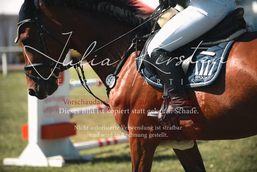 DSC_7136 | Pferde- und Turnierfotografie in Westsachsen. Pferdeportraits, Auftragszeichnungen und intuitive Kunst.