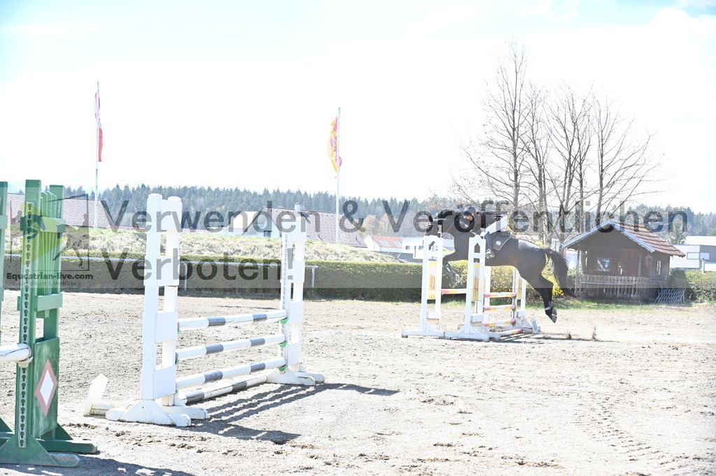 DSC_5179 | equestrian-live-com