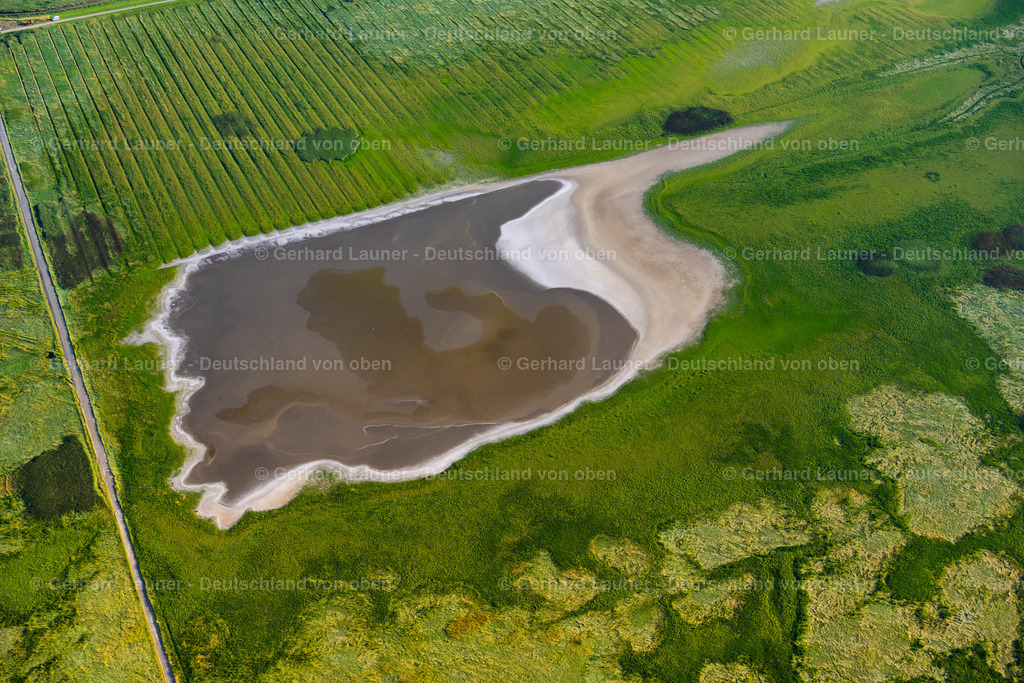 4038453 | Leyhörner Sieltief GREETSIEL 07.08.2020 Grasflächen- Strukturen einer Feld- und Wiesen- Landschaft an der Küste bei Greetsiel im Bundesland Niedersachsen, Deutschland. // Grass area structures of a salt marsh landscape in Greetsiel in the state Lower Saxony, Germany. Foto: Gerhard Launer