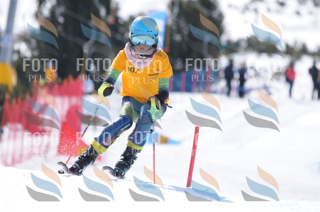 C9159 | holidayphoto