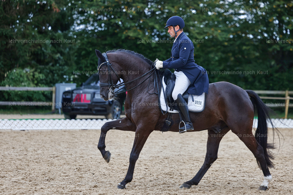 12-058-DRESSUR  S___  -StoibPH-5370 | working equitationturnier fotograf videograf stoibphotography marixx film working equitation deutschland reitsport turnierfotografie eventfotografie equestrian events