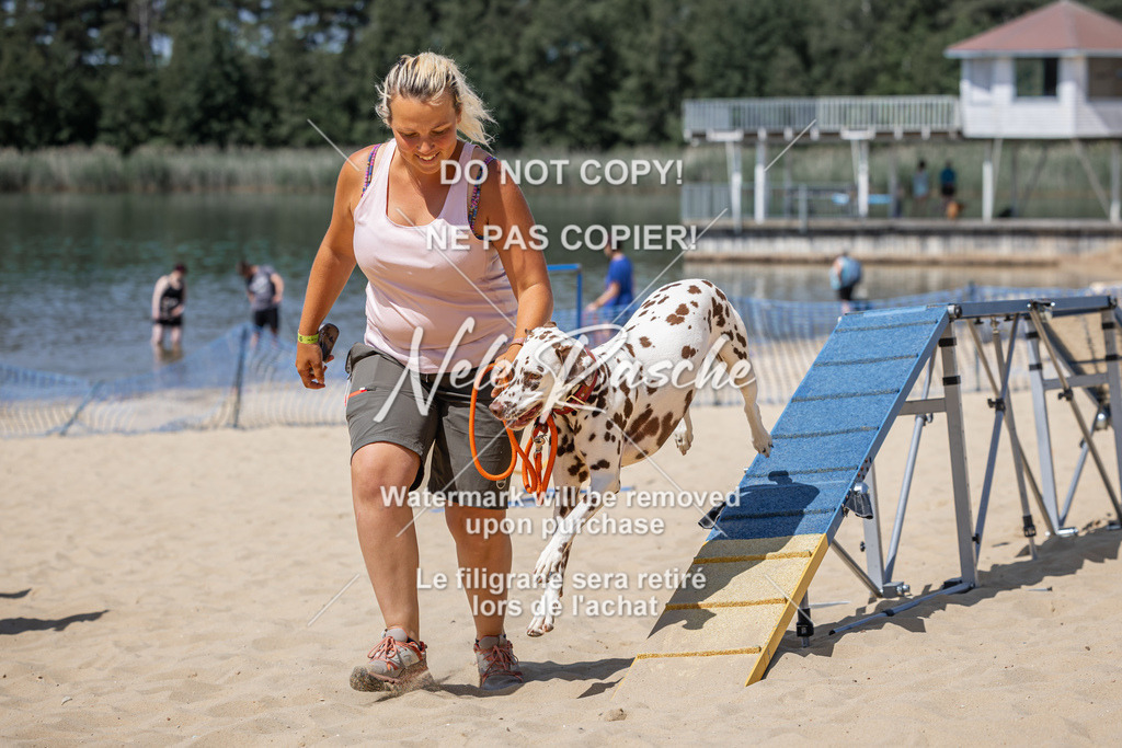 nelerasche_saBeachility_822 | nelerasche
