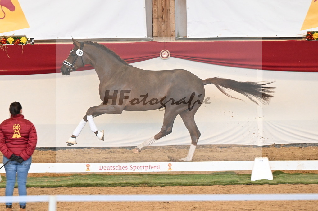 Kat.-Nr. 59 v. Flashbang_Gäher_3260664 | hf-fotografie - Realisiert mit Pictrs.com