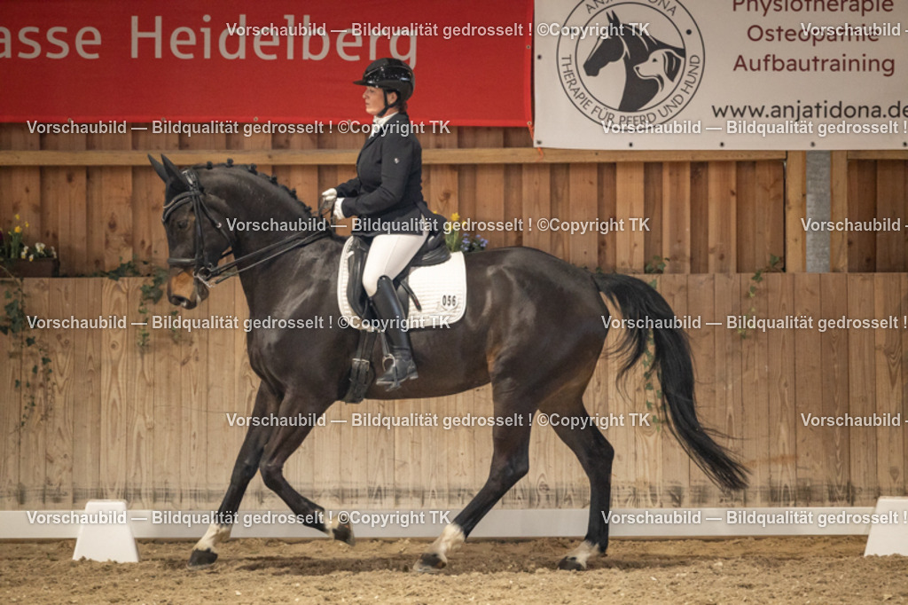 _D5A9645 | Emotionale Pferde- & People-Fotografie rund um Heidelberg, Leimen & Umgebung. Natürliche Fotos von Pferd, Mensch & Familie. Jetzt Termin sichern!