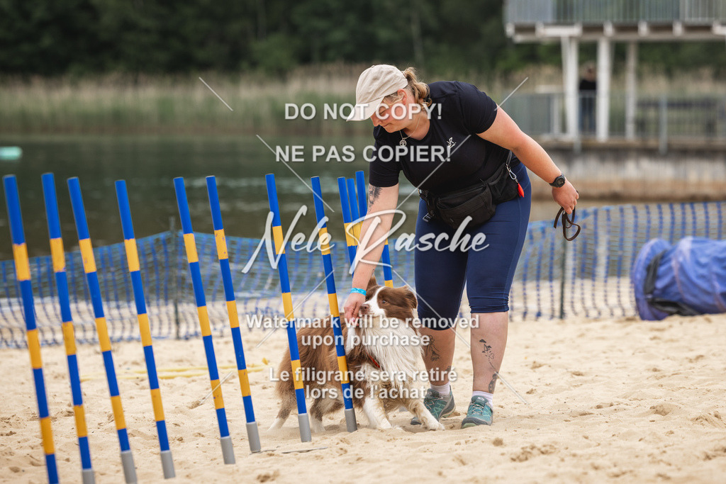 nelerasche_BuHu2026_So1330-1430_72 | nelerasche