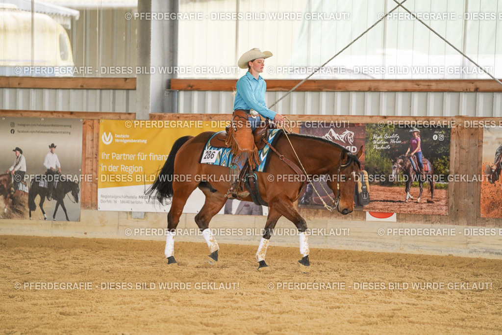 DSC08298 | Pferdegrafie