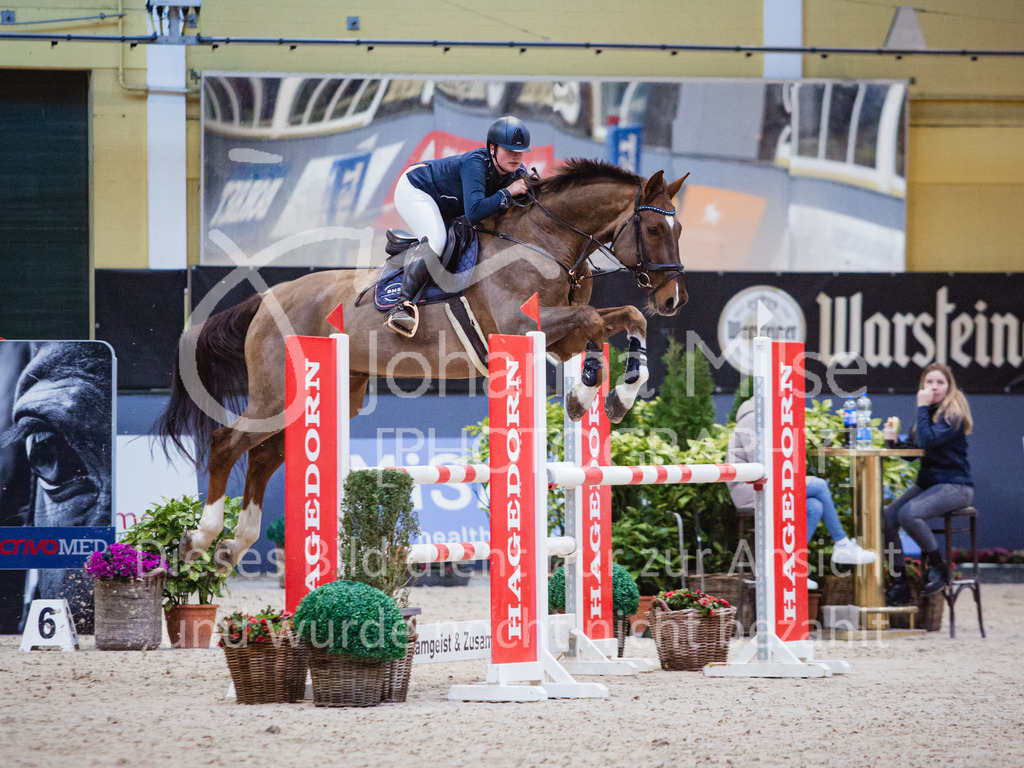 221112_Warstein_L-Spr-118 | Deine schönsten Turniermomente als professionelle Fotos! Entdecke hochwertige Pferdesport-Fotografie im Online-Shop. Jetzt Fotos finden & bestellen!
