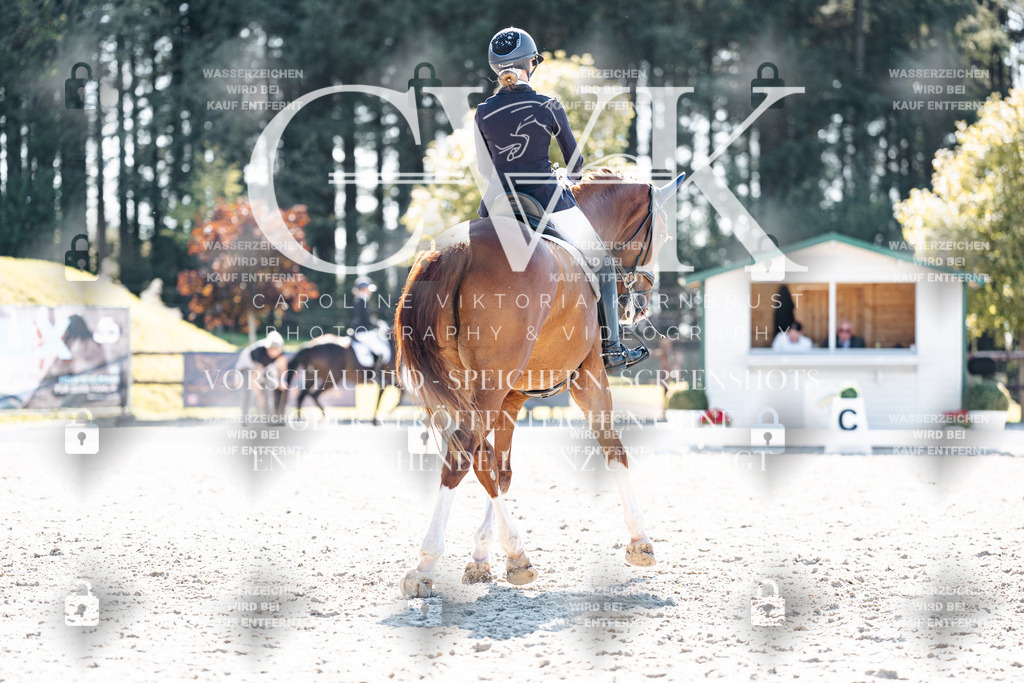 CK905465 | Turnierfotografie Pferdefotografie Trier Rheinland-Pfalz Pferdesport Reitsport Tierfotografie Sportfotografie Pferdevideo Pferdevideografie Equestrianvideography equestrianphotography  - Realisiert mit Pictrs.com