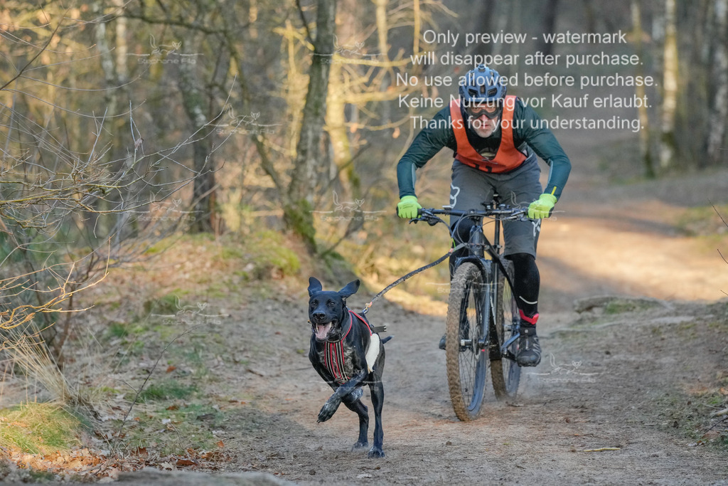 Sa_Bike-246 | stephaniefillaphotographie - Realisiert mit Pictrs.com