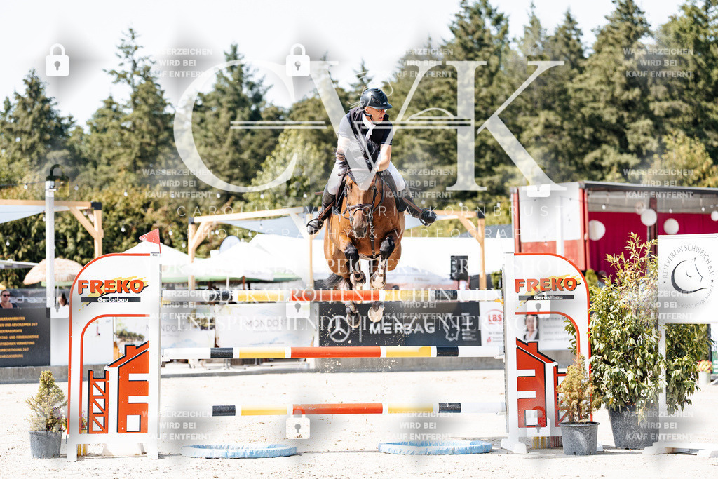 CK904881 | Turnierfotografie Pferdefotografie Trier Rheinland-Pfalz Pferdesport Reitsport Tierfotografie Sportfotografie Pferdevideo Pferdevideografie Equestrianvideography equestrianphotography  - Realisiert mit Pictrs.com