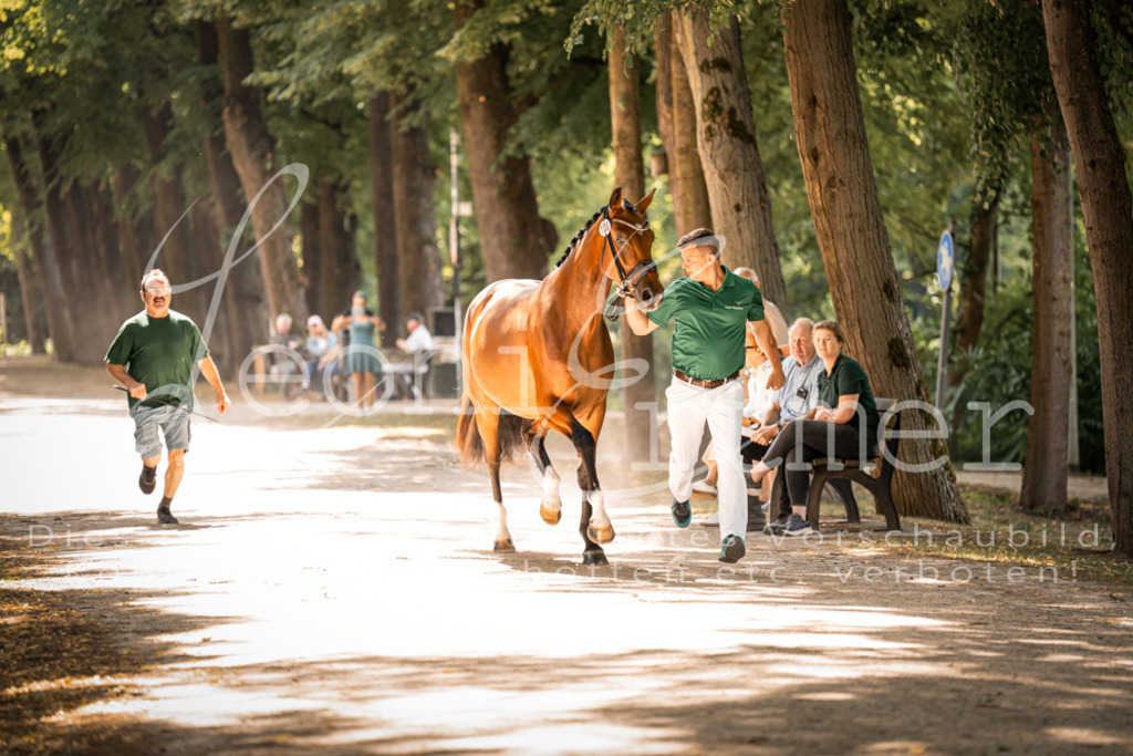 FrPfM00216 | Leoni Ertmer Photography - Realisiert mit Pictrs.com