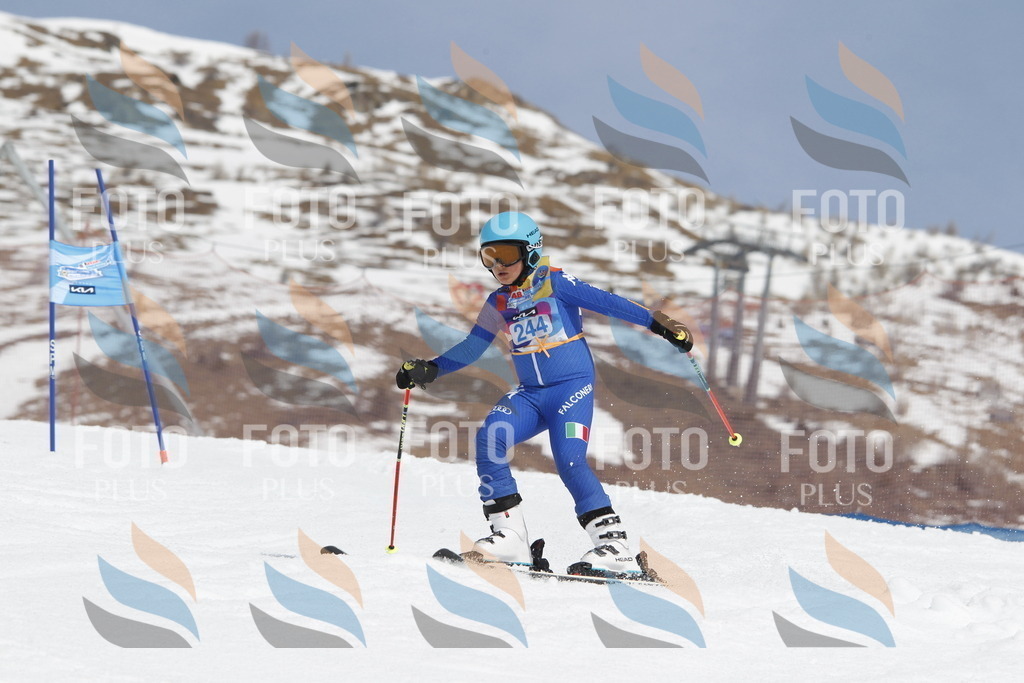 _U3G2766 | holidayphoto