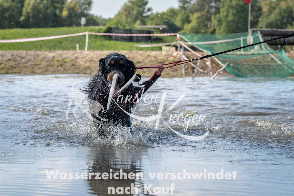 1305_ZZ94681 | kk-dogfotos