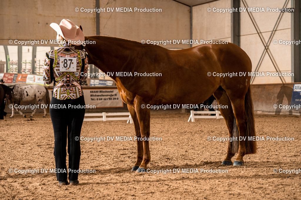 Heiligenwald Tag 1-20 | dv-media-shop - Realisiert mit Pictrs.com