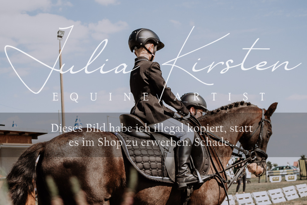 DSC_4558 | Pferde- und Turnierfotografie in Westsachsen. Pferdeportraits, Auftragszeichnungen und intuitive Kunst.