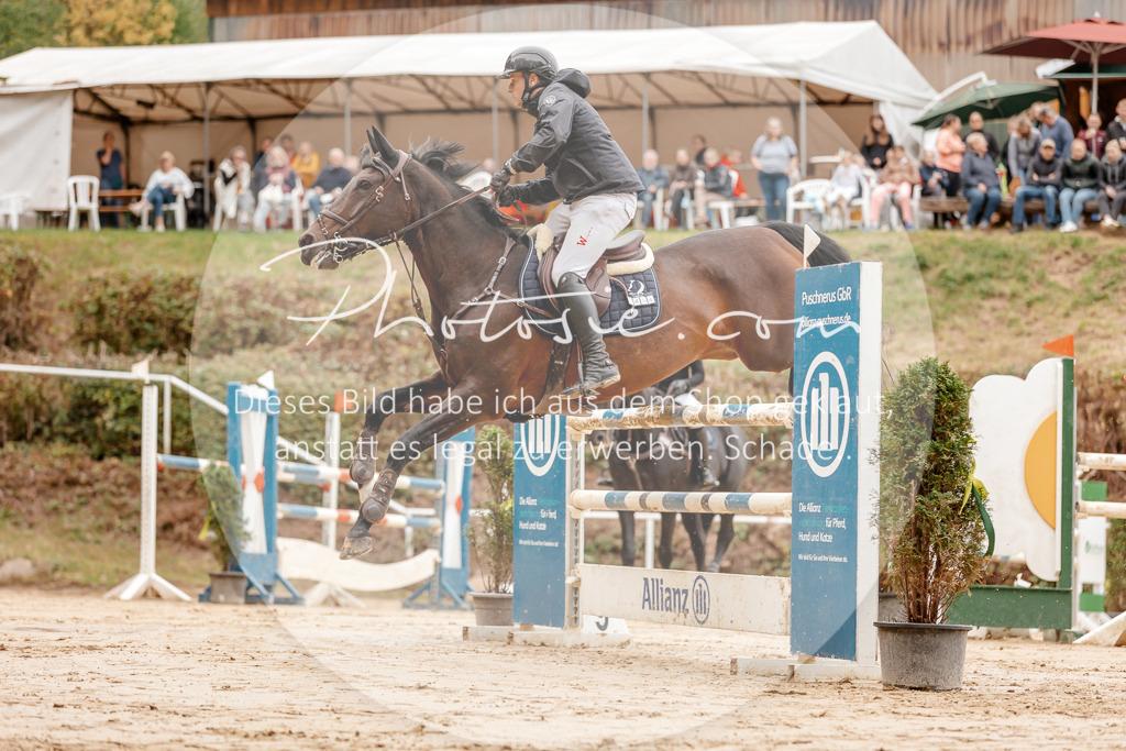 3I6A8463 | Stimmungsvolle Portraits und Reitsportfotografie im Ruhrgebiet und im Münsterland.

Pferdefotografie, Hundefotografie, Tierfotografie, Reportagen, Portraits von Tier und Mensch, Turnierfotografie in Bochum, Recklinghausen, Marl, Haltern am See, Dülmen.. - Realisiert mit Pictrs.com