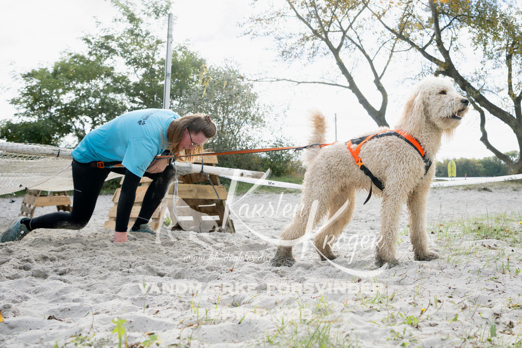 1312_ZZ95849 | kk-dogfotos