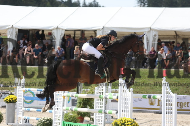 Villingendorf_2023_Prfg.Nr.11_Springprüfung_Kl.S_m.Siegerrunde_Lilly Schmitt_Montreau M (5) | Alle Fotos der Reiterjournal Fotografin Doris Matthaes im Reiterjournal Online-Fotoshop. - Realizado com Pictrs.com