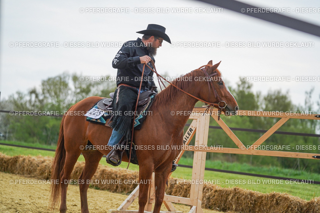 DSC08205 | Pferdegrafie