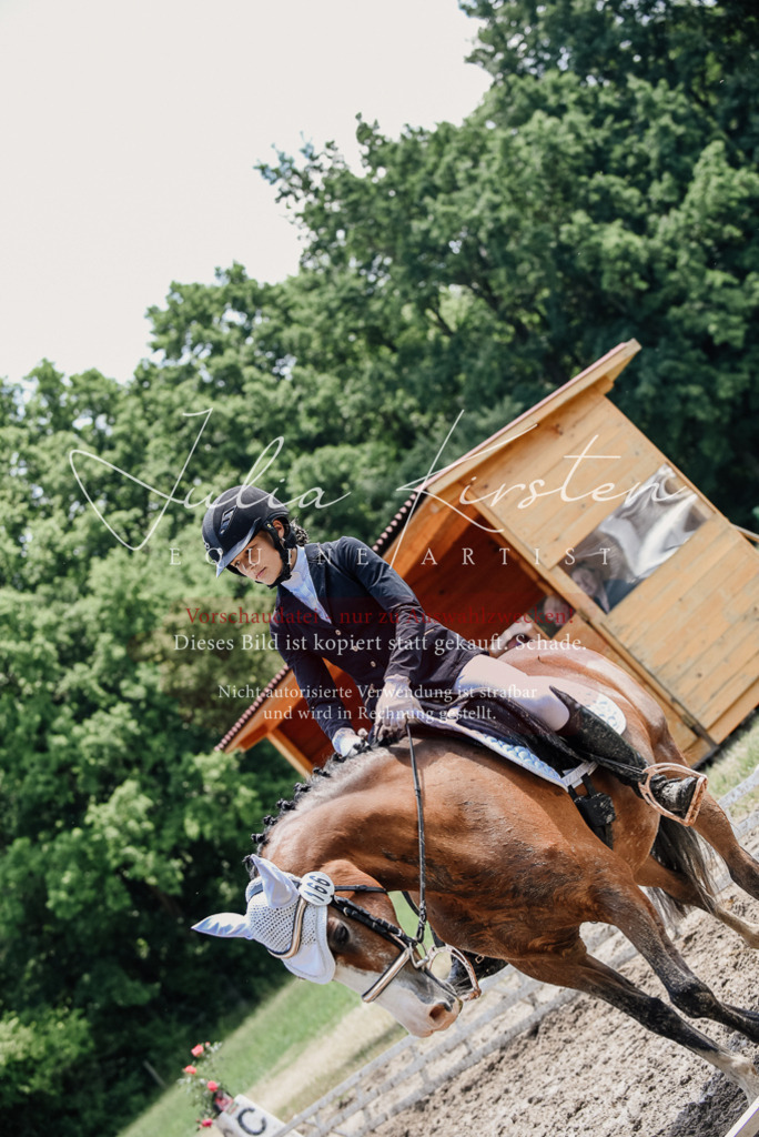 DSC_1933 | Pferde- und Turnierfotografie in Westsachsen. Pferdeportraits, Auftragszeichnungen und intuitive Kunst.