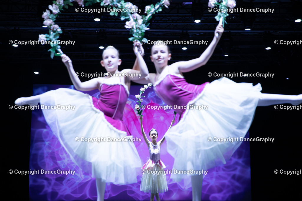 GPHY4799 | DanceGraphy - Realisiert mit Pictrs.com