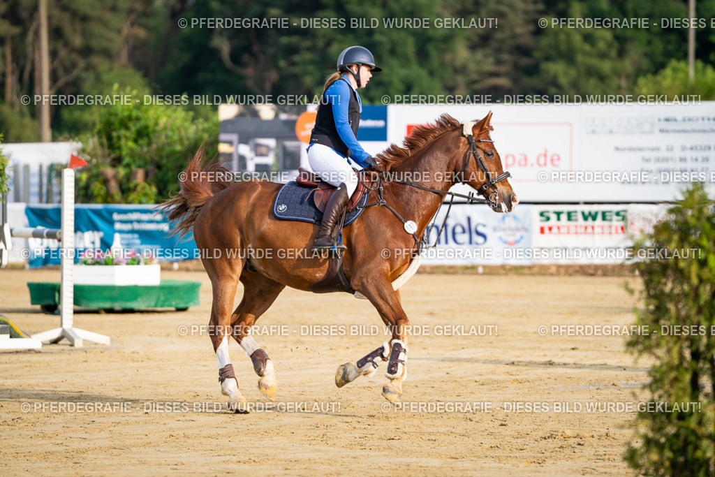 DSC01933 | Pferdegrafie