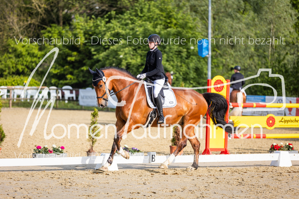 Donop24-A-Dre-044 | MomenTaufnahmen Pferdesportfotos