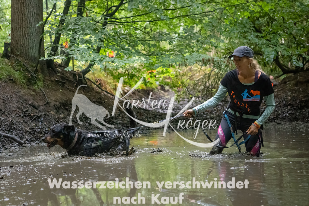 1356_ZZ90605-Bearbeitet | kk-dogfotos