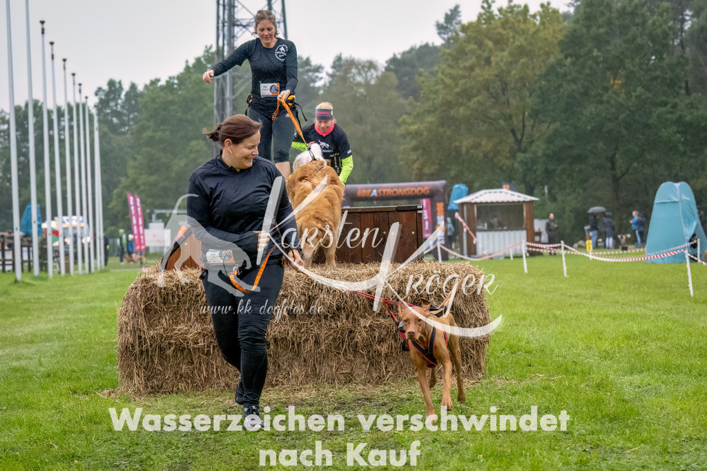 1012-2-11 | kk-dogfotos