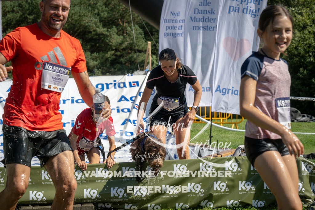 1147_ZZ94103 | kk-dogfotos