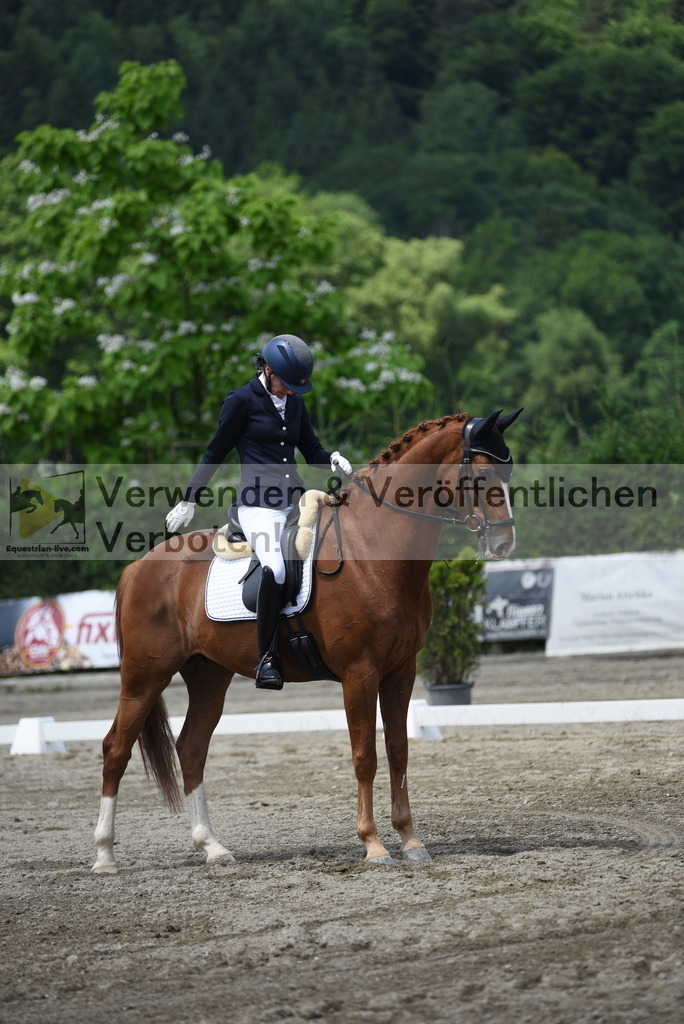 DSC_9369 | equestrian-live-com