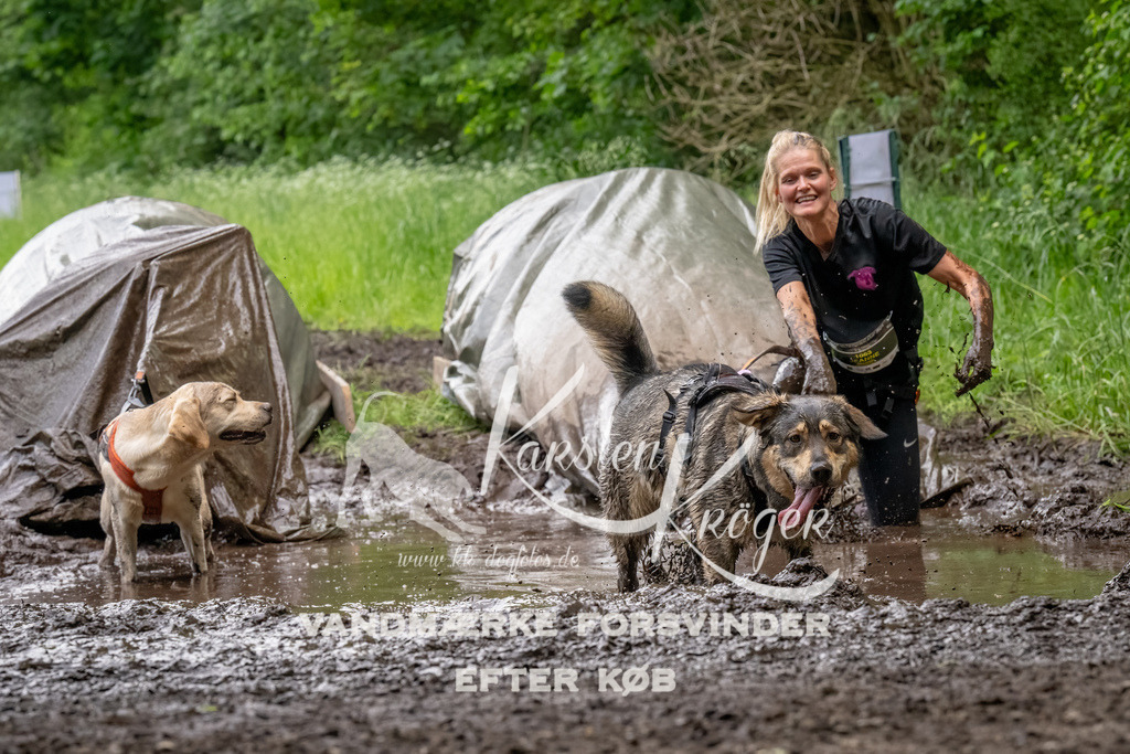 1519_ZZ92784-Bearbeitet | kk-dogfotos