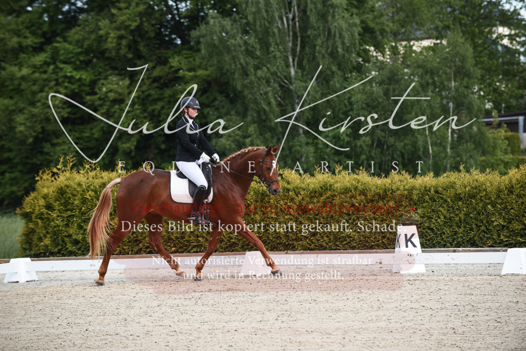20230518_JK-Röhrsdorf-12-0005 | Pferde- und Turnierfotografie in Westsachsen. Pferdeportraits, Auftragszeichnungen und intuitive Kunst.