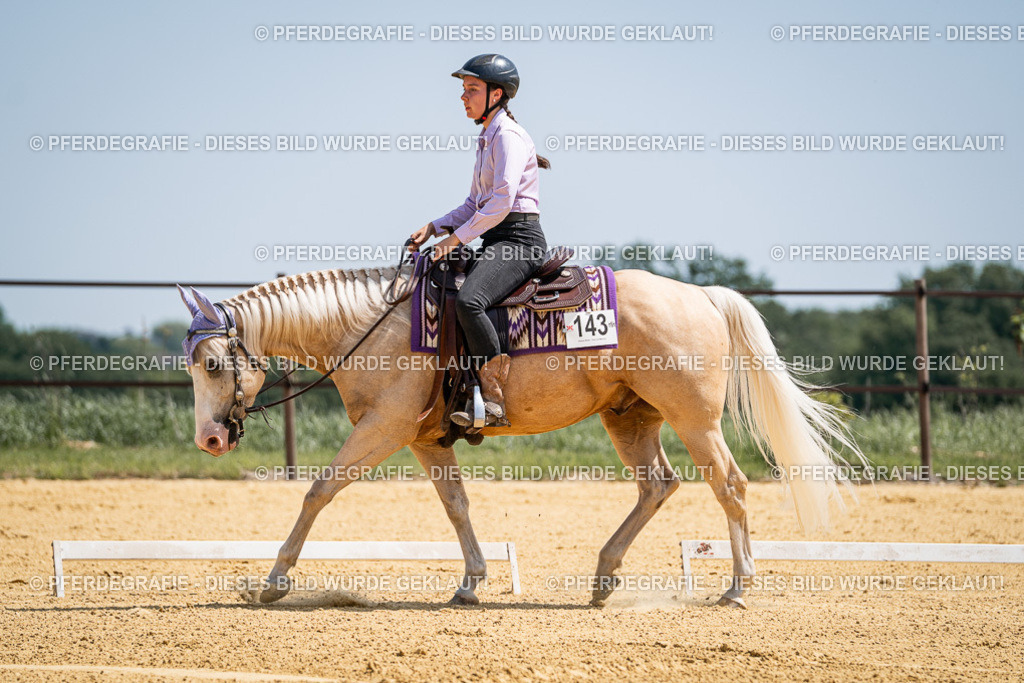 DSC01072 | Pferdegrafie