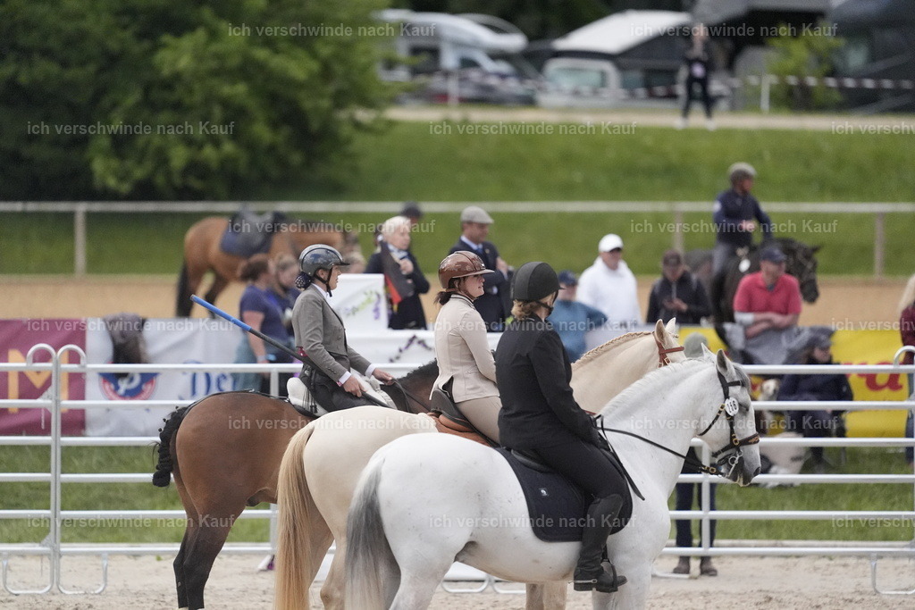 PI26_COW_Stoibphotography_DSC6031.JPG | working equitationturnier fotograf videograf stoibphotography marixx film working equitation deutschland reitsport turnierfotografie eventfotografie equestrian events