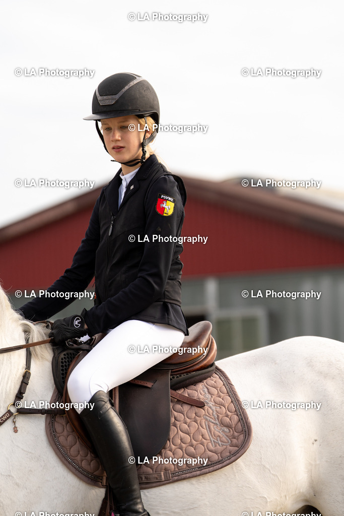 DSC03869 | Entdecke einzigartige Turnierfotos und persönliche Pferde- und Hundeportraits bei LA Photography. Für jeden Reiter und Pferd das perfekte Bild! Stöbere jetzt! - Realisiert mit Pictrs.com