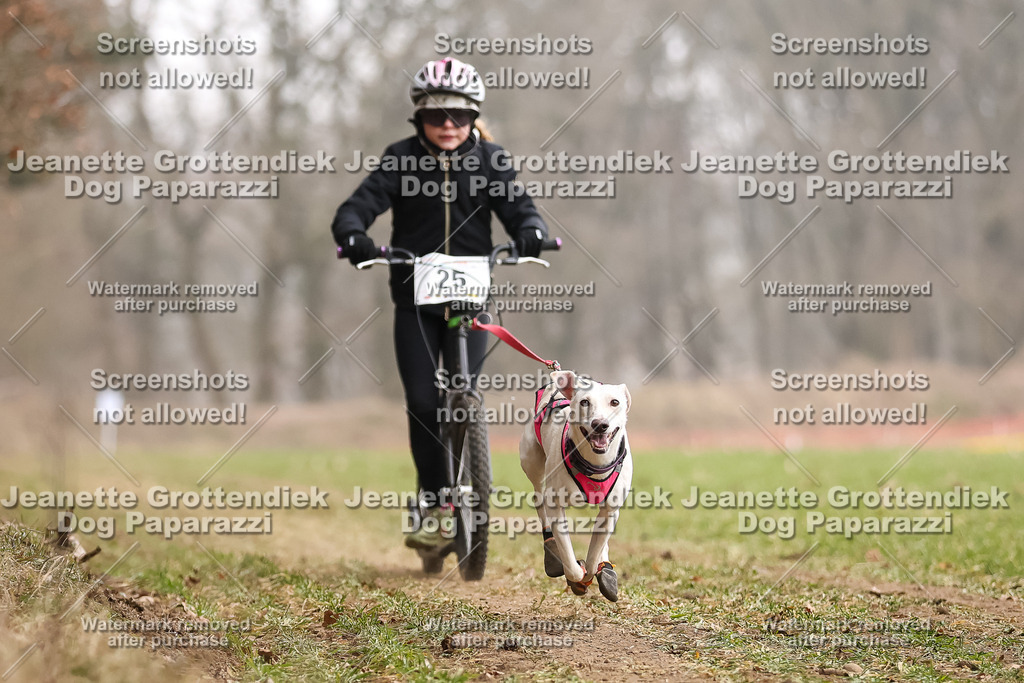 Dog Paparazzi - Plate 2026-86 | Dog Paparazzi Jeanette Grottendiek Fotografie & Videografie - Realisiert mit Pictrs.com