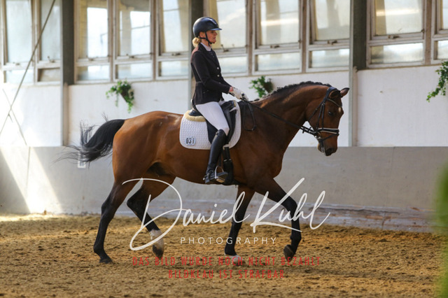 IMG_2472 | Turniersportfotografie; Pferdefotografie; Dressurfotografie