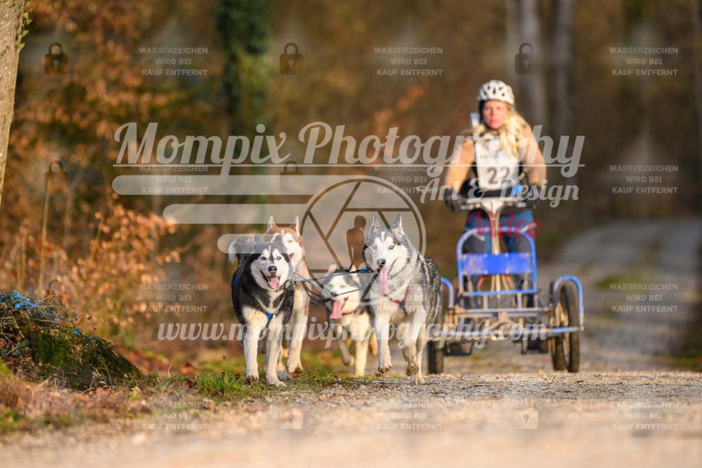 MompixPhotography_6ReiatRennen2026_SO_Kart-13 | PayLife
