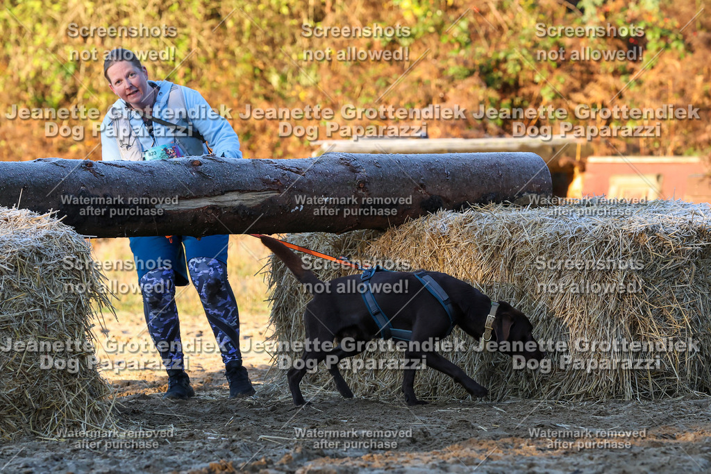 Dog Paparazzi - Strongdog 10-25-542 | Dog Paparazzi Jeanette Grottendiek Fotografie & Videografie - Realisiert mit Pictrs.com