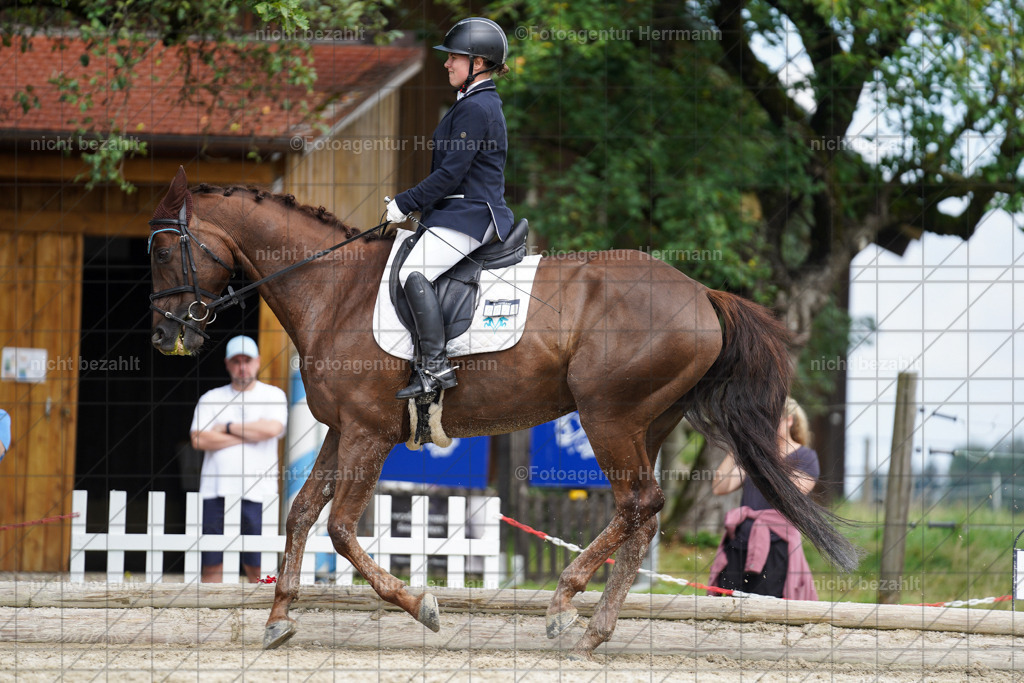 20230826-FAH05355 | Forstinning, 2023, Dressurturnier, Turniersportbilder, Turnierfotografen Bayern, Fotoagentur Herrmann, Reitsportfotografie, Turnierbilder