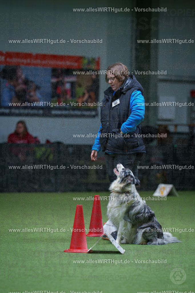 7R506283 | Professionelle Tierfotografie in Mönchengladbach von Daniel Wirth (allesWIRTHgut). Liebevolle & natürliche Bilder von Hunden & Katzen für unvergessliche Erinnerungen.
