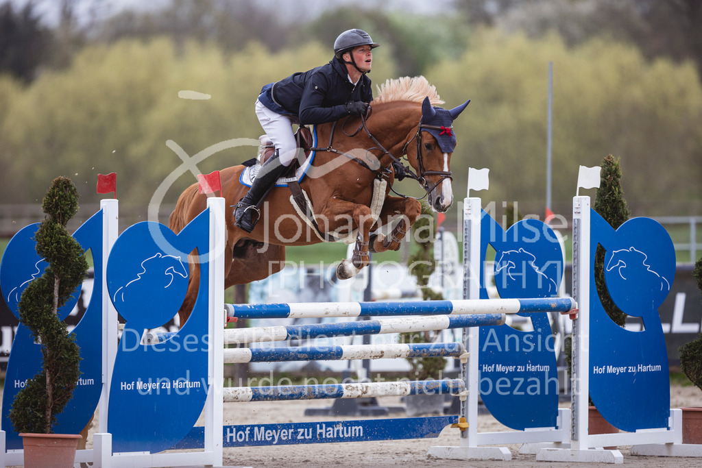 250417_Springpferde-L1-210 | Deine schönsten Turniermomente als professionelle Fotos! Entdecke hochwertige Pferdesport-Fotografie im Online-Shop. Jetzt Fotos finden & bestellen!