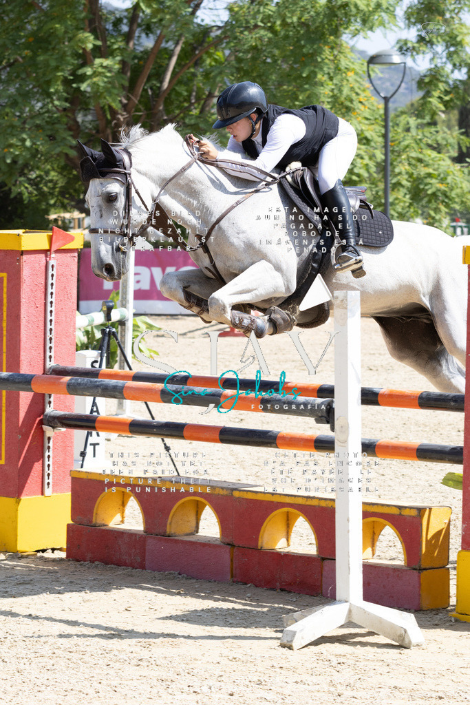 IMG_3679 | s-jay-photography - Realisiert mit Pictrs.com