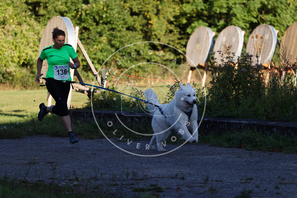 0L8A4810 | Hundefotografie, Tierfotograf, Pfotenfotografie, Fotoshooting Hund, Hunde Portrait, Hundesport, Hundeportraits, Heideshooting, Hunde, Sportfotograf, Hundefotograf, Turnierhundsport, THS,  - Realisiert mit Pictrs.com