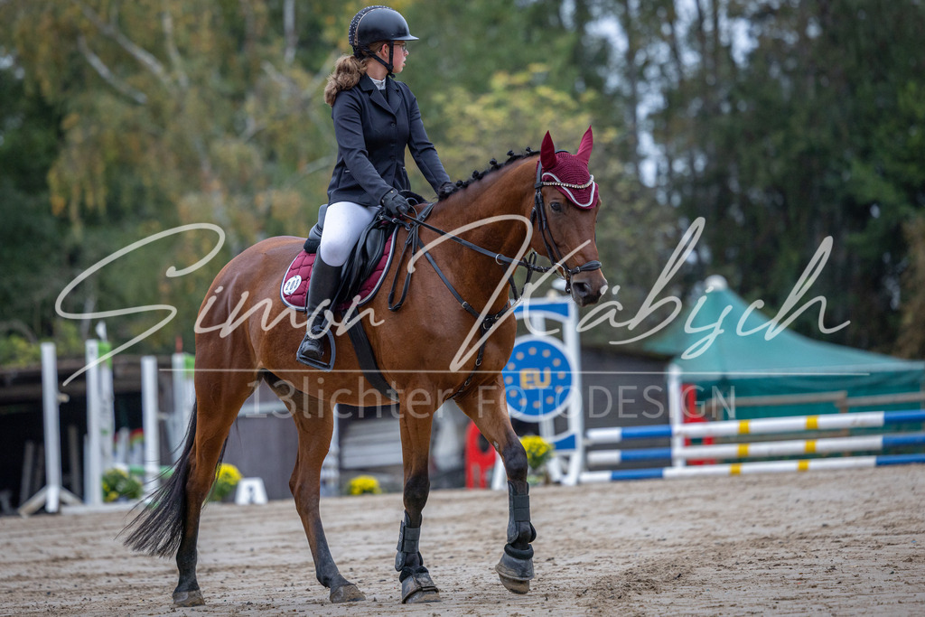 20251012-_3LI2462 | Tierfotografie Pferde, Hunde, Katzen, Haustiere.
Turnierfotografie Reitturniere, Reiten, Springreiten, Dressur in Hanau, dem Main-Kinzig-Kreis und dem Rhein-Main- Gebiet um Frankfurt