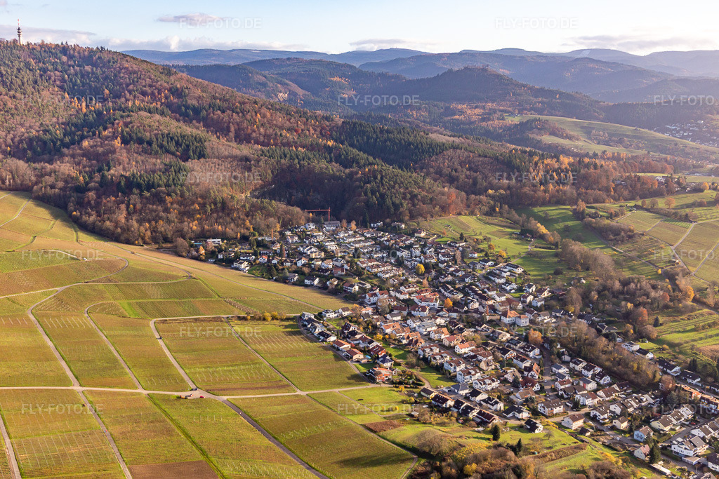 Luftbild: zu Füßen des Fremersbergs in Sinzheim im Bundesland Baden-Württemberg in Deutschland. Foto: IMG_119884.jpg vom 30.11.2019 durch Werner Riehm/FLY-FOTO.de